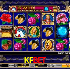 KFBET Rio de Janeiro - Bonus Terms